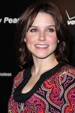 http://img130.imagevenue.com/loc887/th_81709_sophia_bush_24_122_887lo.jpg